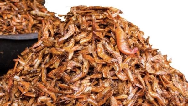 Dried Whole Crayfish - Image 2